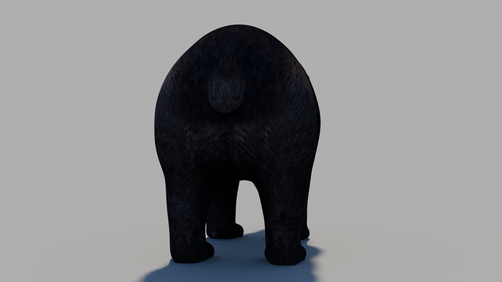 Black Bear 3D Model 360° view 1 frame 14