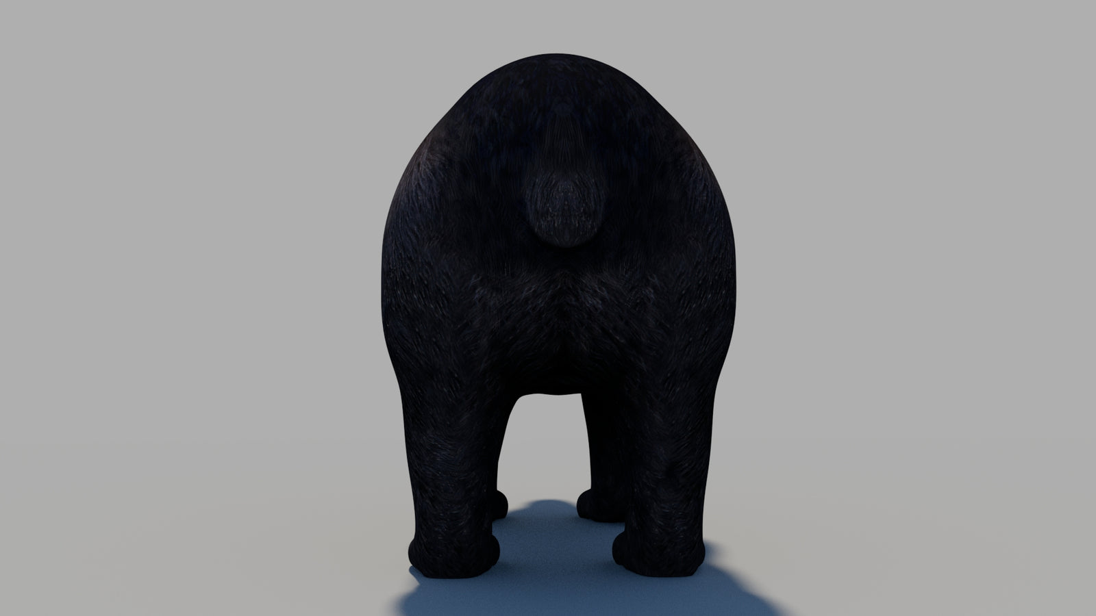 Black Bear 3D Model 360° view 1 frame 15