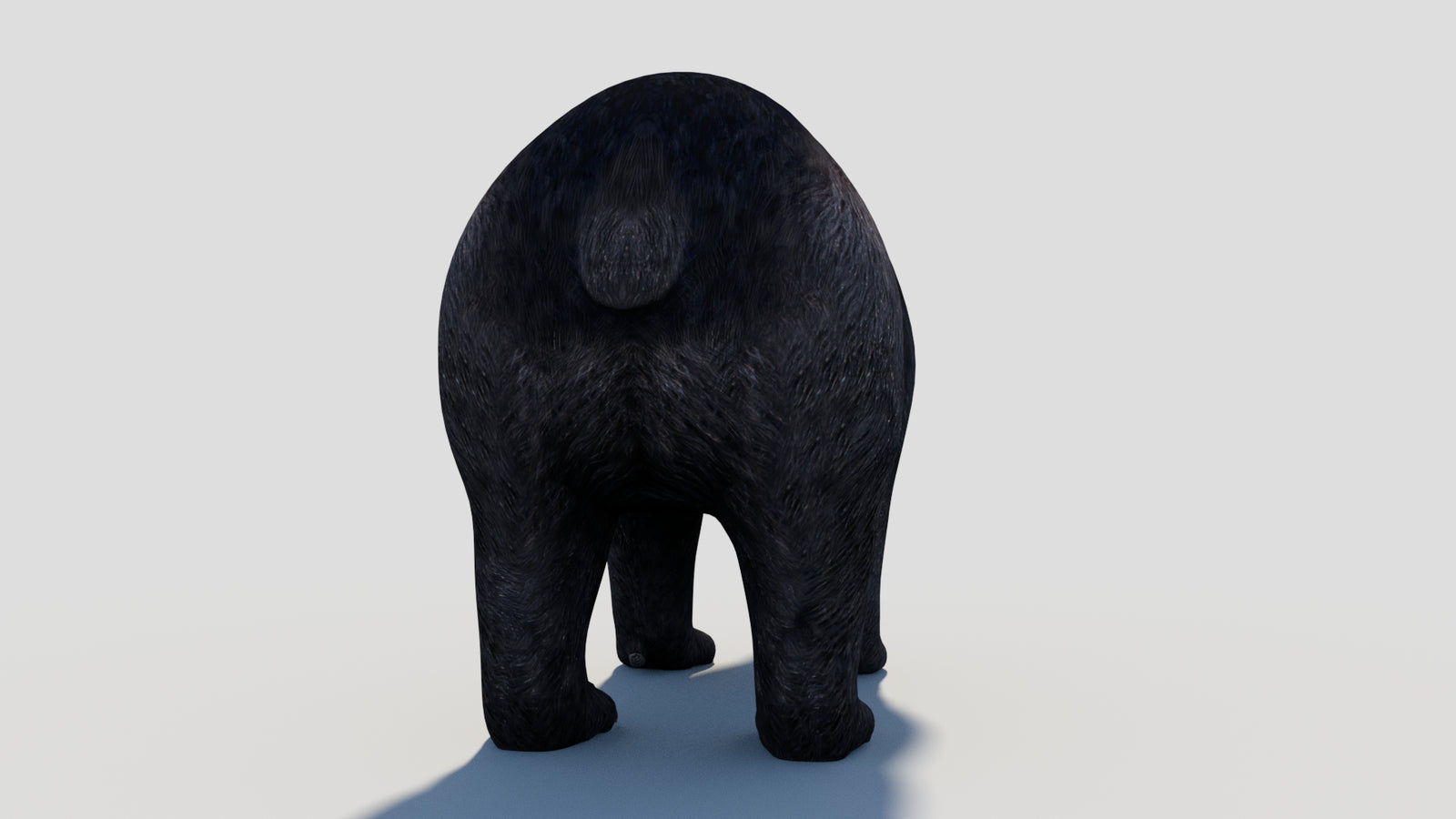 Animated Black Bear 3D Model 360° view 1 frame 26