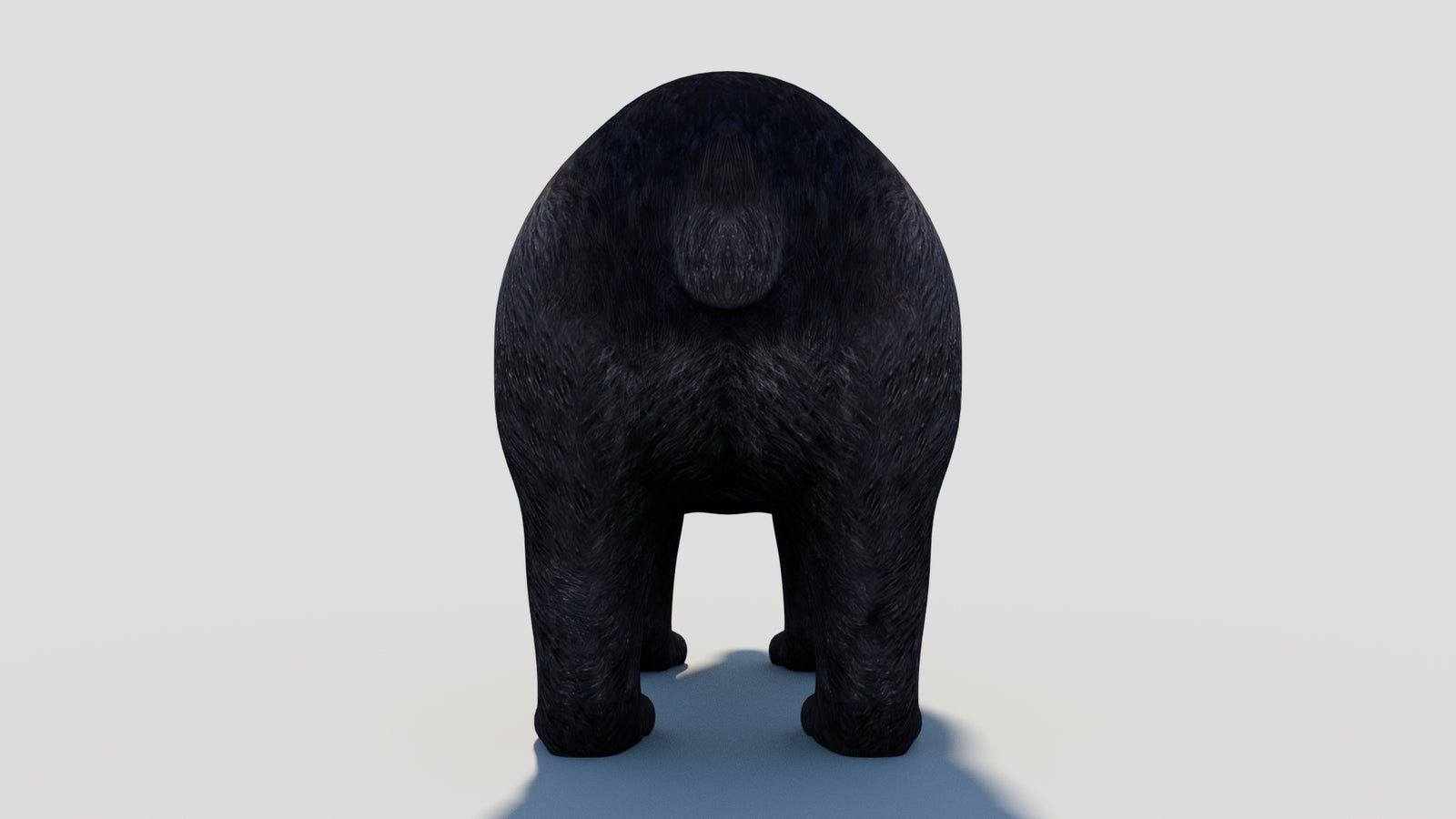 Animated Black Bear 3D Model 360° view 1 frame 27