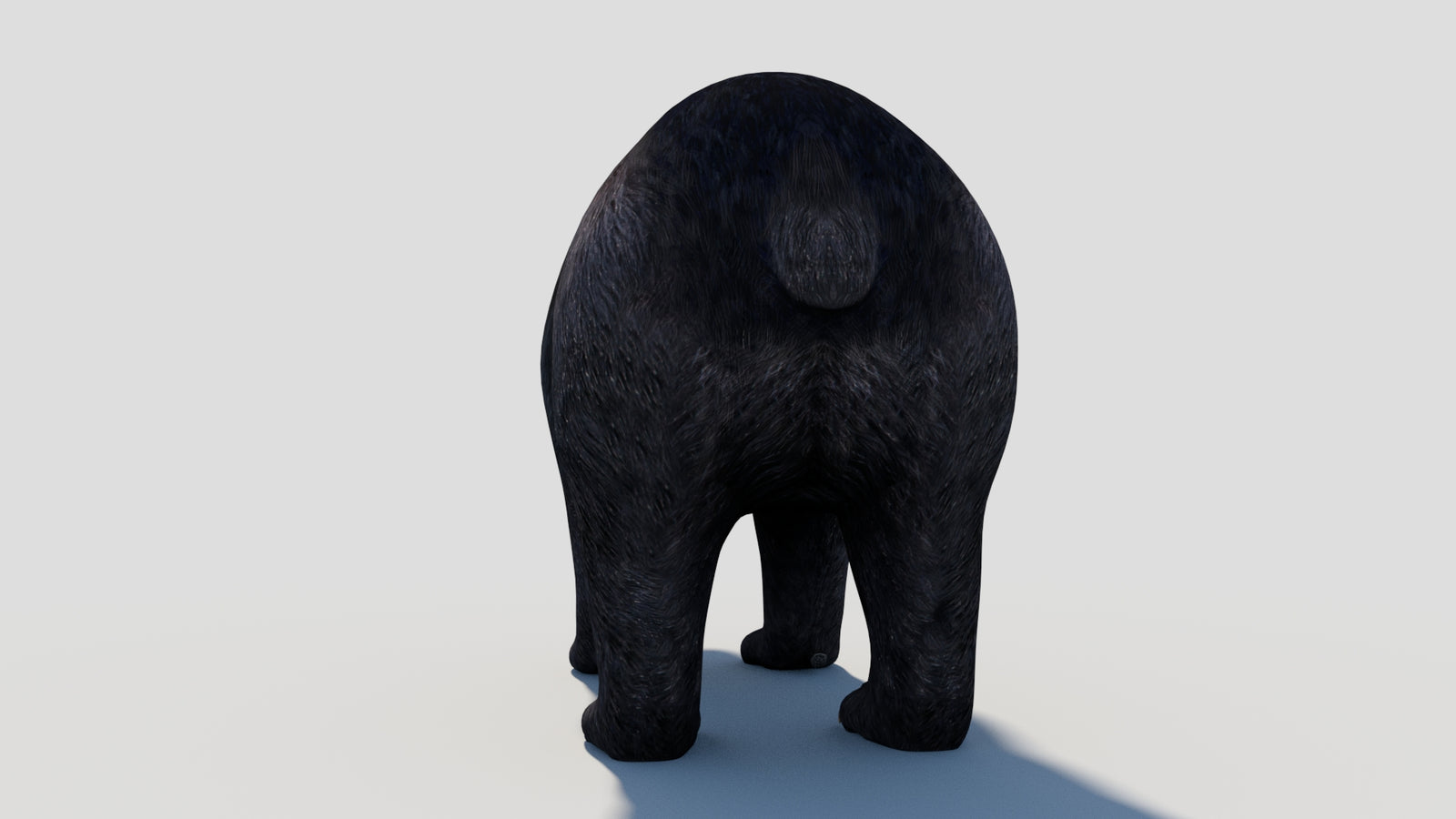 Animated Black Bear 3D Model 360° view 1 frame 28