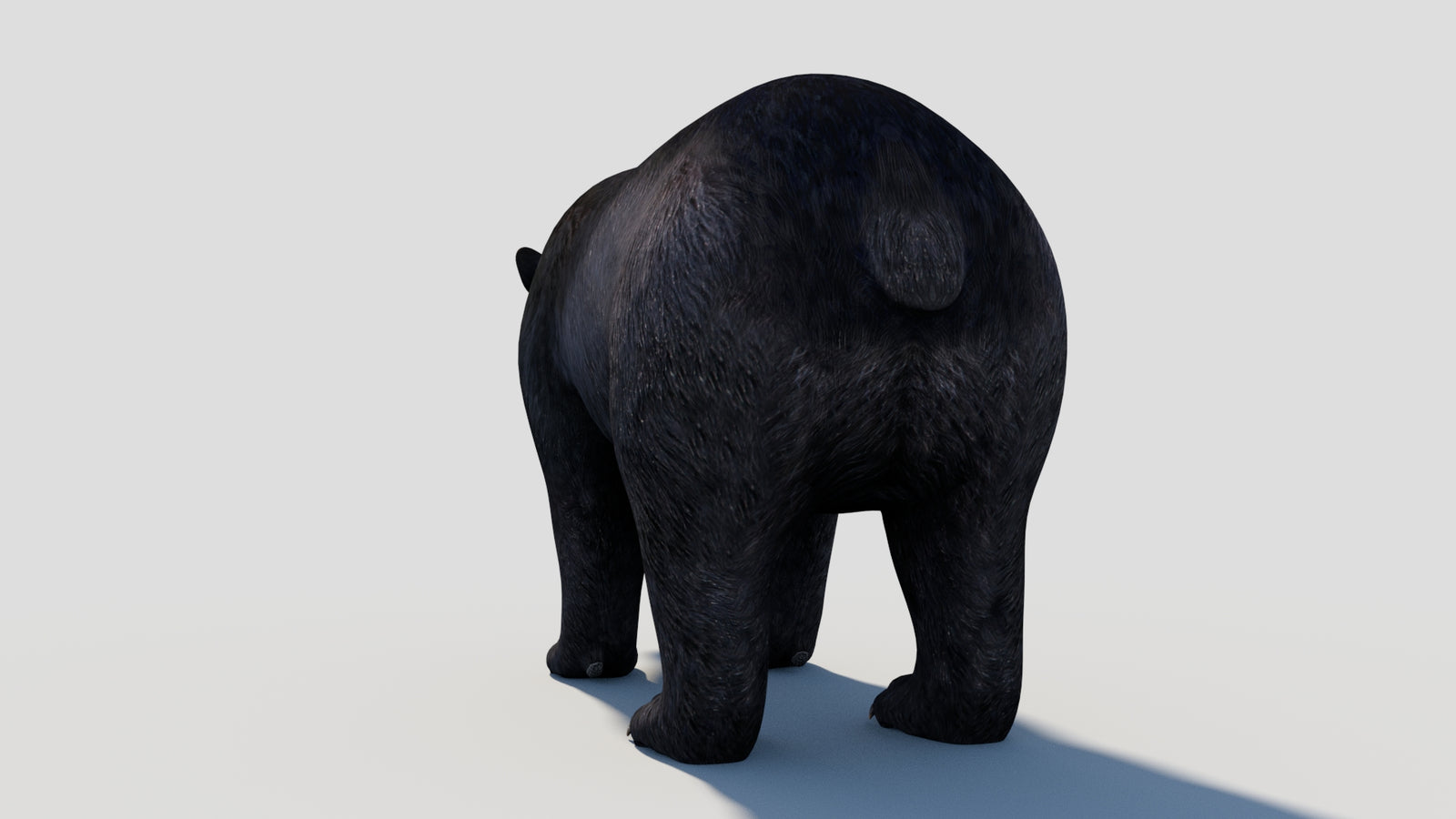 Animated Black Bear 3D Model 360° view 1 frame 29