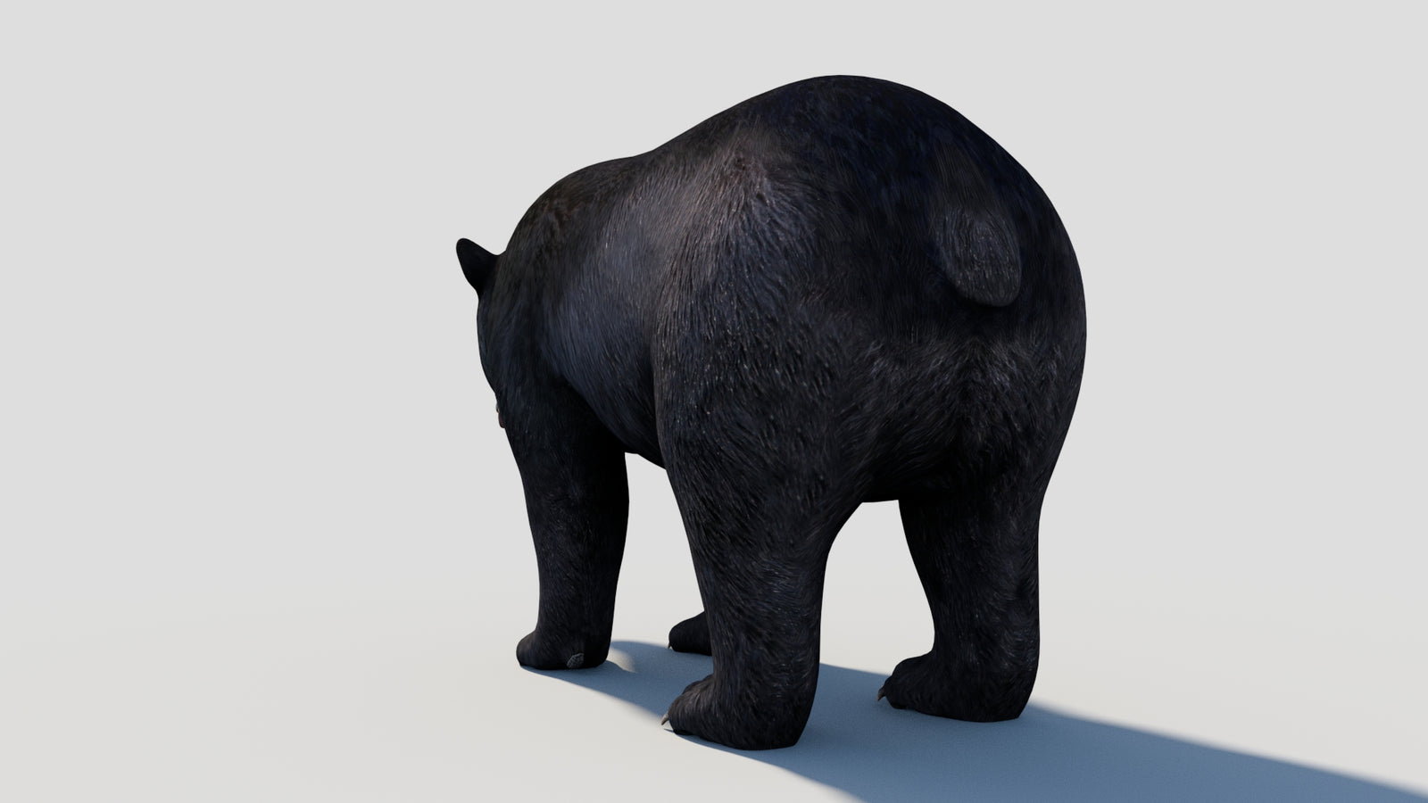 Animated Black Bear 3D Model 360° view 1 frame 30