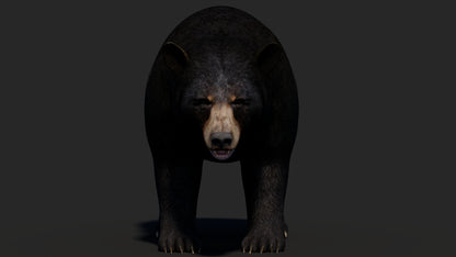 Realistic Black Bear 3D Model for Game