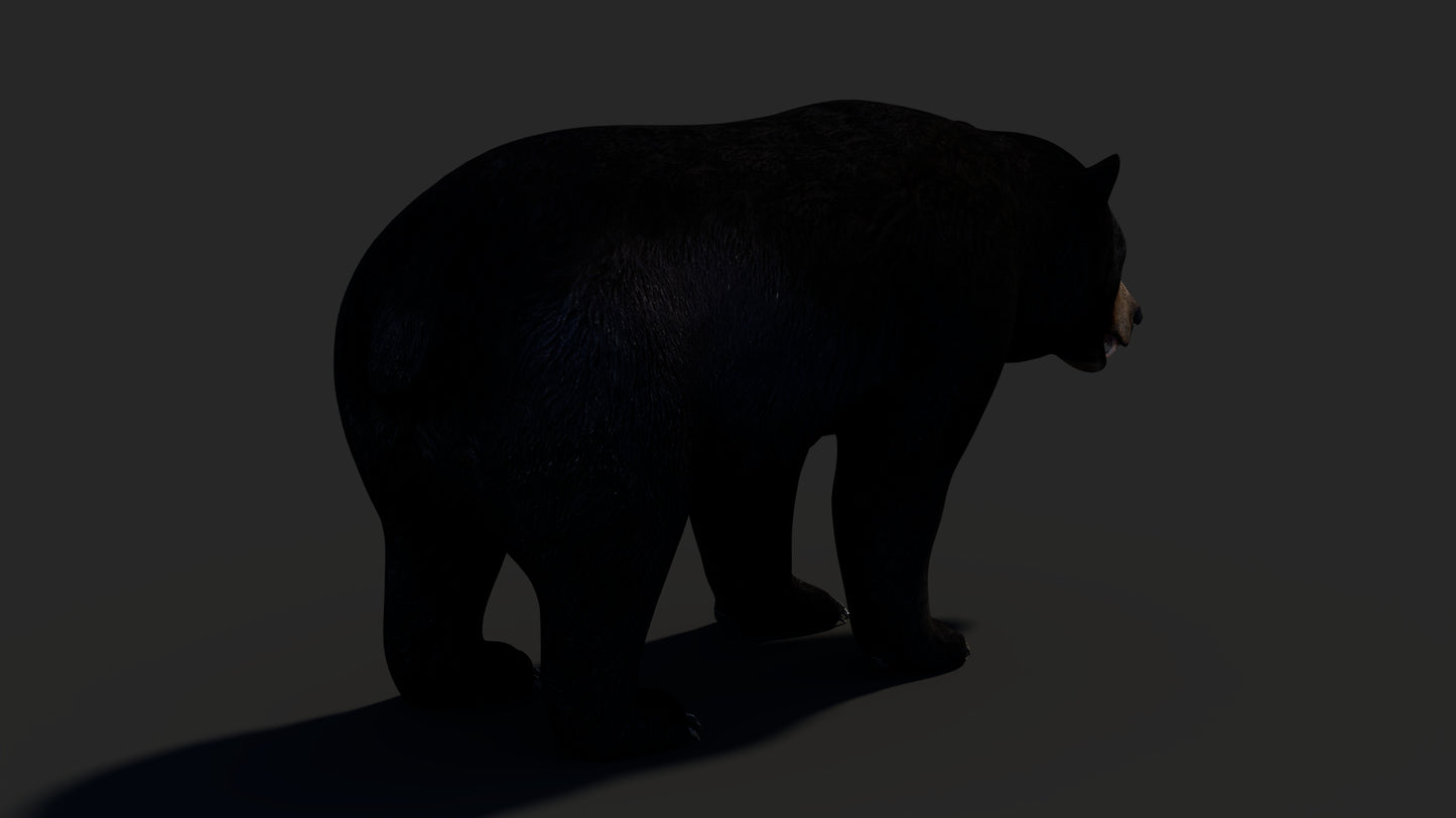 Realistic Black Bear 3D Model for Game