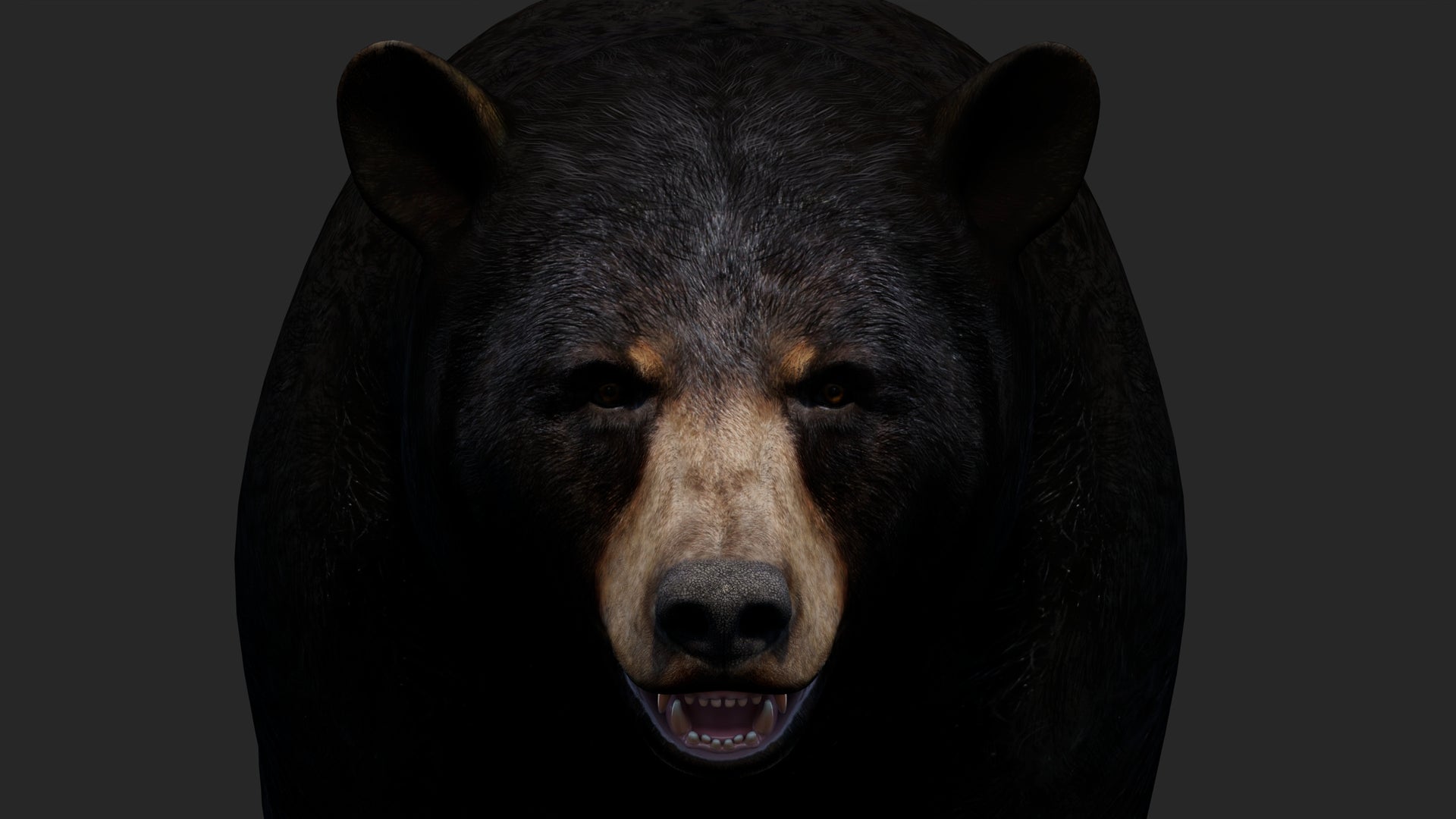 Realistic Black Bear 3D Model for Game