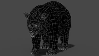 Black Bear 3D Model Wireframe View 0