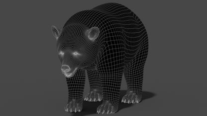 Black Bear 3D Model Wireframe View 1
