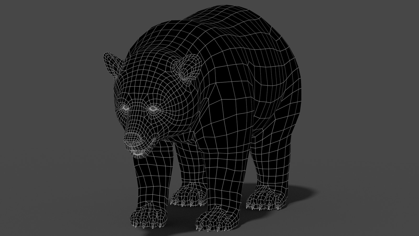 Black Bear 3D Model Wireframe View 0