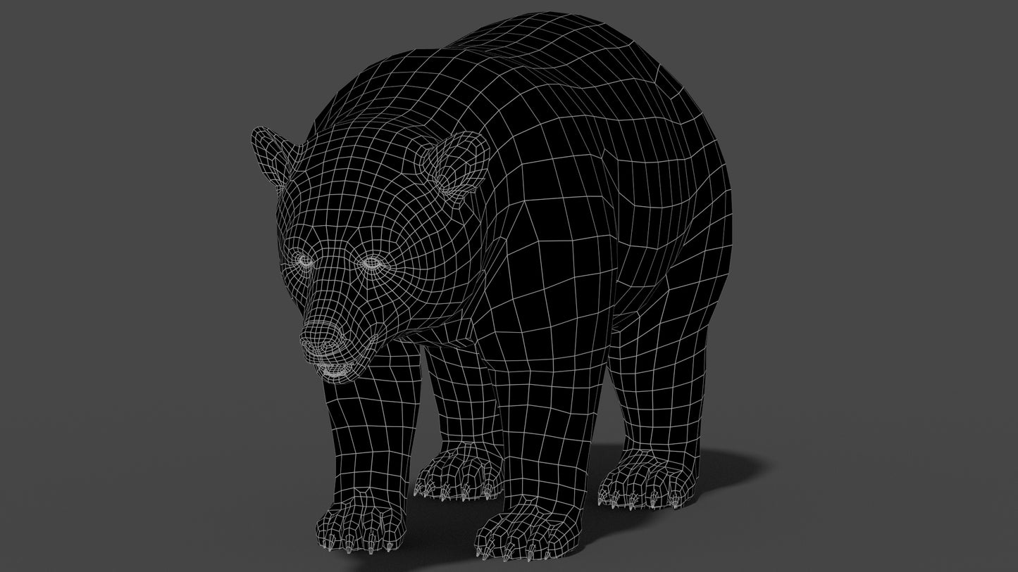 Black Bear 3D Model Wireframe View 0