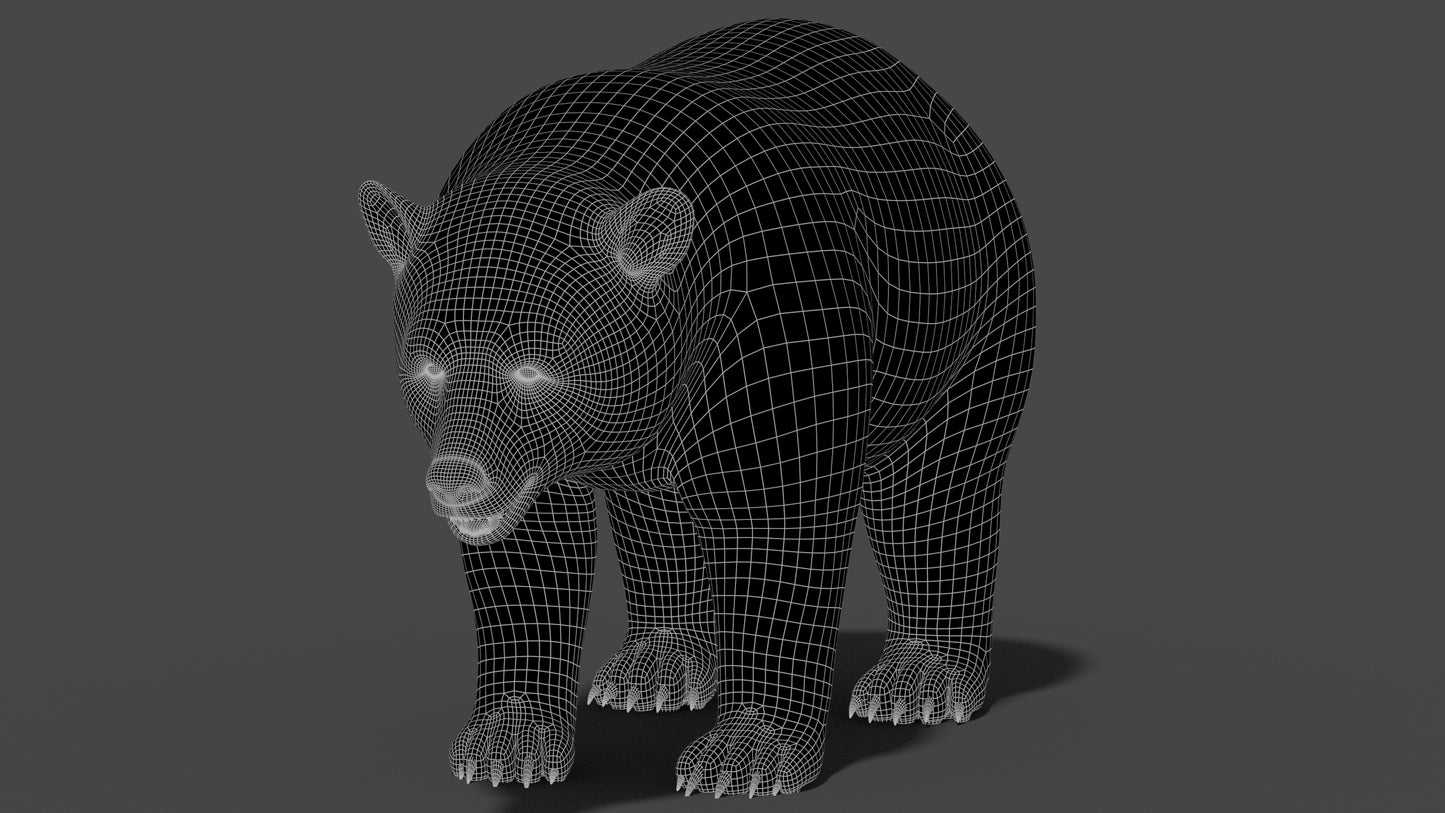 Black Bear 3D Model Wireframe View 1