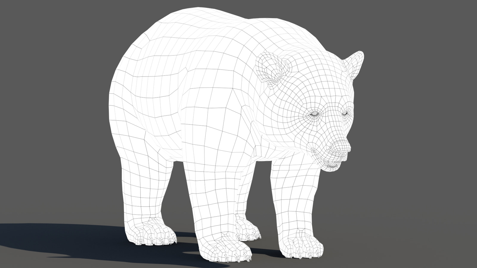 Black Bear 3D Model Wireframe View 0