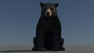 Animated Black Bear 3D Model for Download Thumbnail
