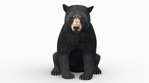 Animated Black Bear 3D Model for Game