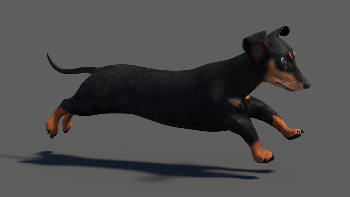 Black Dachshund Dog Animated 3D Model - 360 Degree View