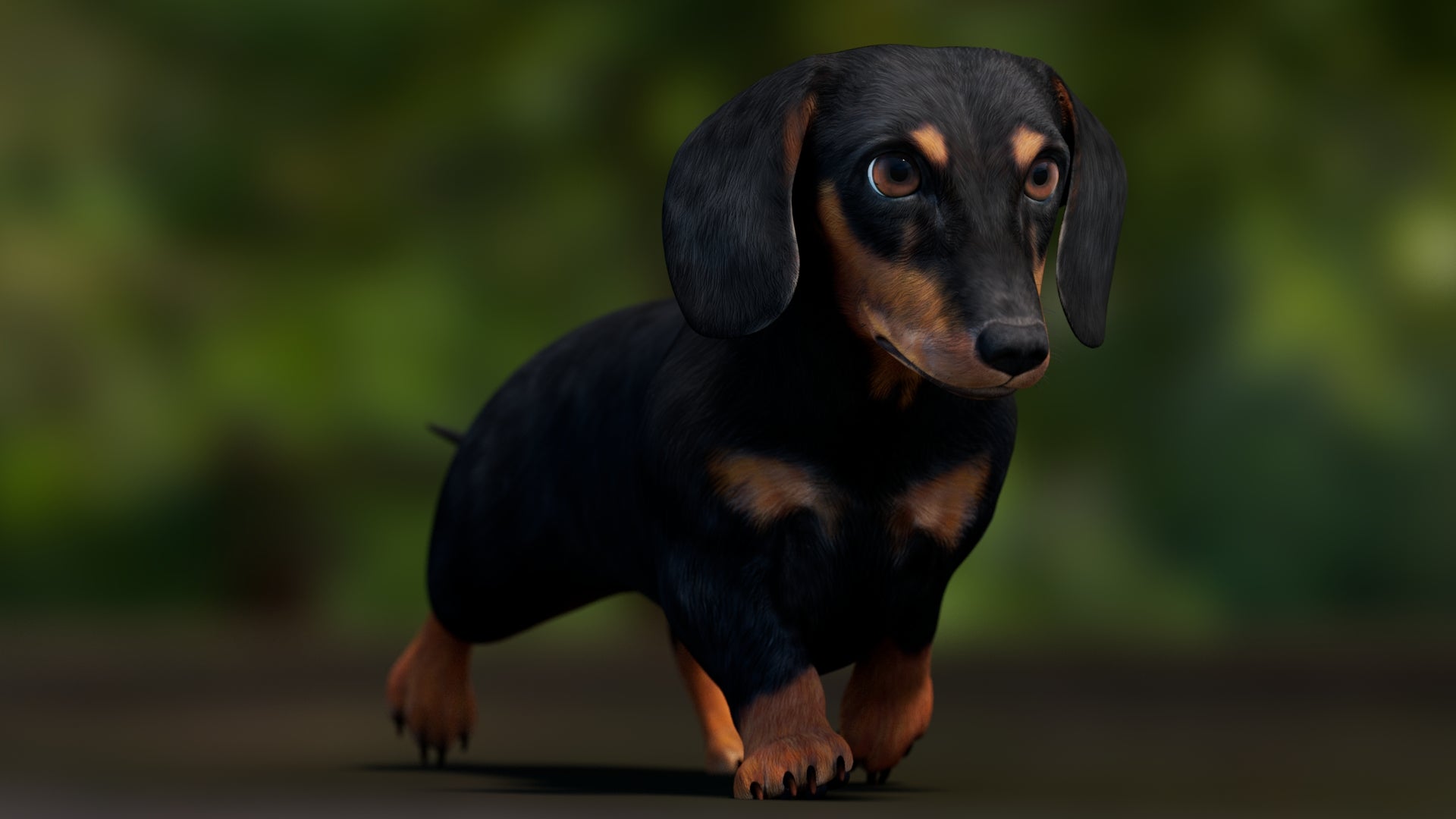 Black Dachshund Dog Animated 3D Model 360 View