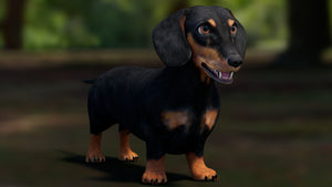Black Dachshund Dog 3D Model for Download