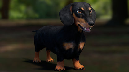 Black Dachshund Dog 3D Model for Download