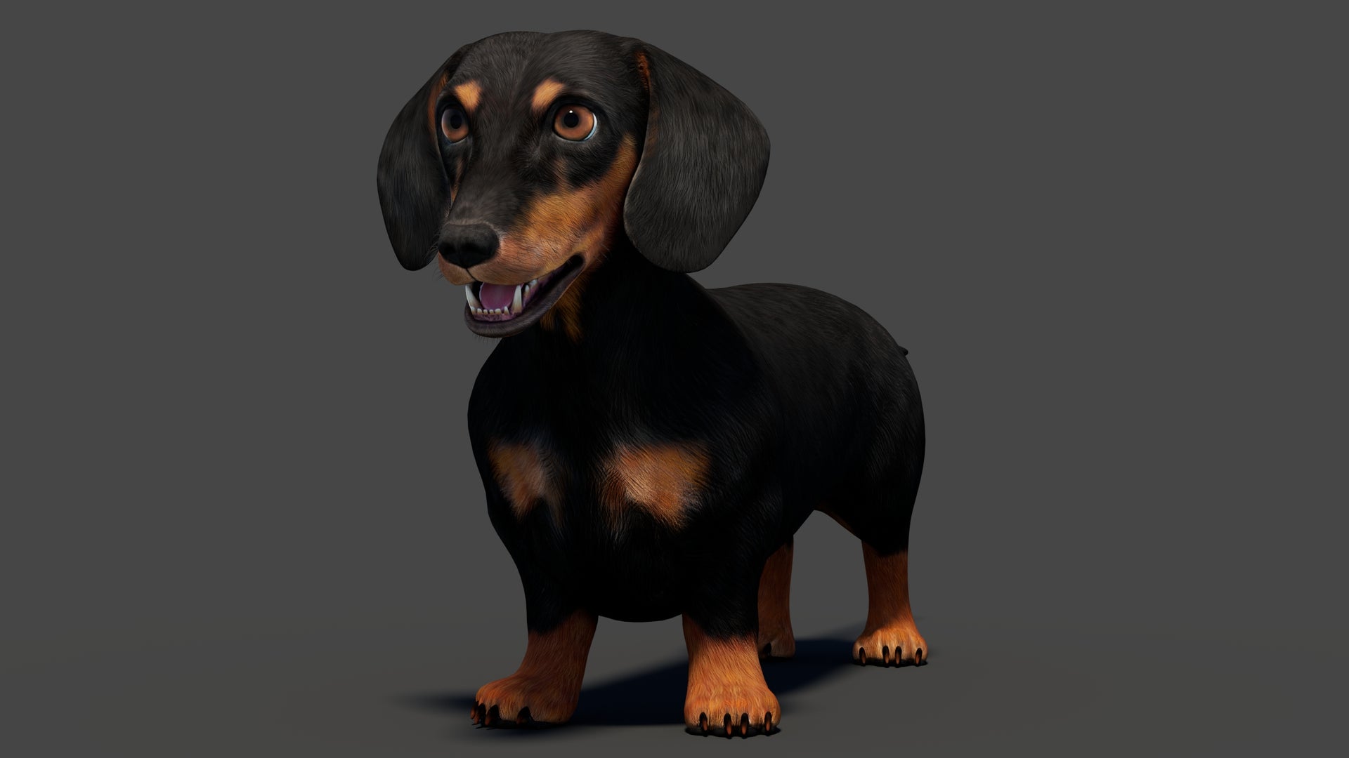 Black Dachshund Dog 3D Model for Download