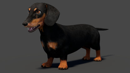 Black Dachshund Dog 3D Model for Download