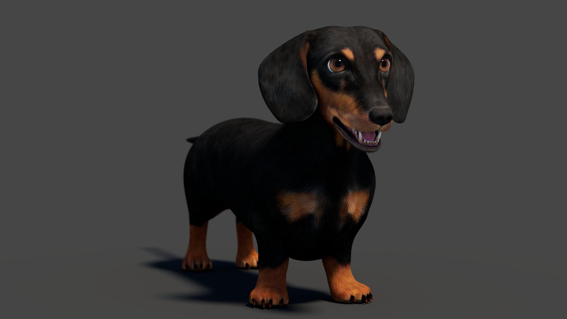 Black Dachshund Dog 3D Model for Download