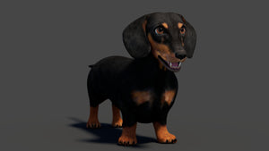 Black Dachshund Dog 3D Model for Download