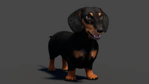 Black Dachshund Dog 3D Model for Download Thumbnail