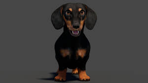 Black Dachshund Dog 3D Model for Download Thumbnail