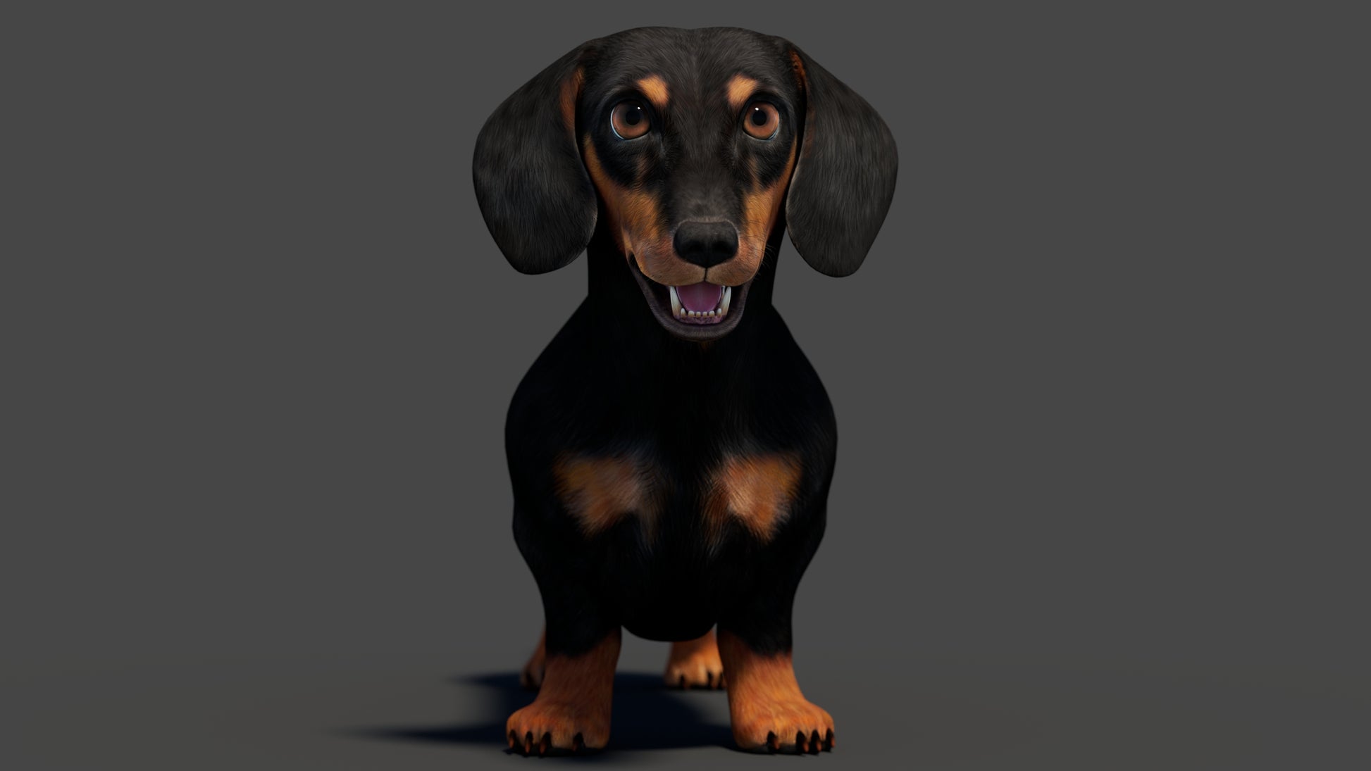Black Dachshund Dog 3D Model for Download