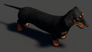 Black Dachshund Dog 3D Model for Download Thumbnail