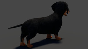 Black Dachshund Dog 3D Model for Download