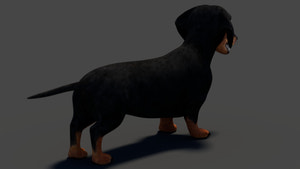 Black Dachshund Dog 3D Model for Download Thumbnail