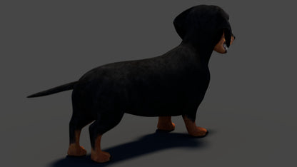 Black Dachshund Dog 3D Model for Download