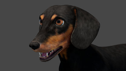 Black Dachshund Dog 3D Model for Download