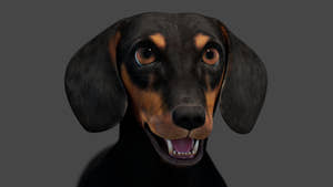 Black Dachshund Dog 3D Model for Download Thumbnail