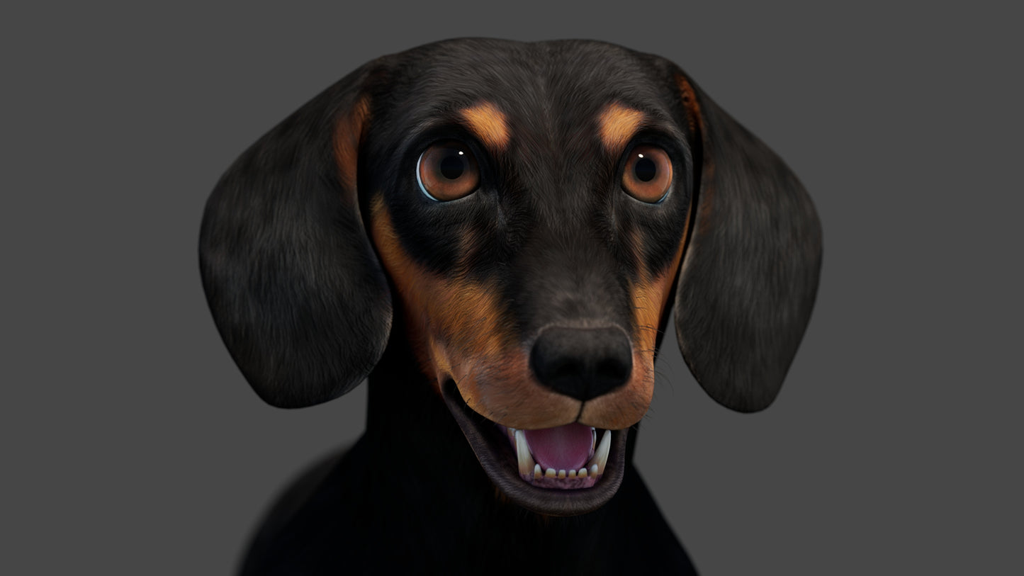 Black Dachshund Dog 3D Model for Download