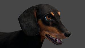 Black Dachshund Dog 3D Model for Download