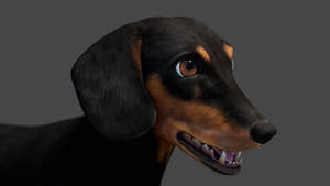 Black Dachshund Dog 3D Model for Download Thumbnail