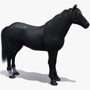 Black Horse 3D Model Fur Thumbnail