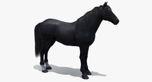 Black Horse 3D Model Fur Thumbnail