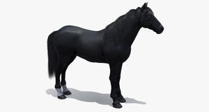 Black Horse 3D Model Fur Thumbnail
