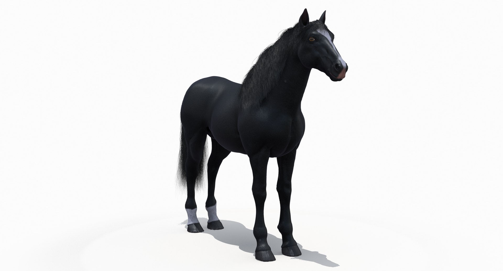 Black Horse 3D Model Fur