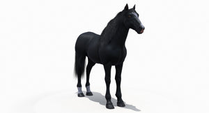 Black Horse 3D Model Fur Thumbnail
