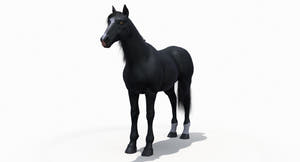 Black Horse 3D Model Fur Thumbnail