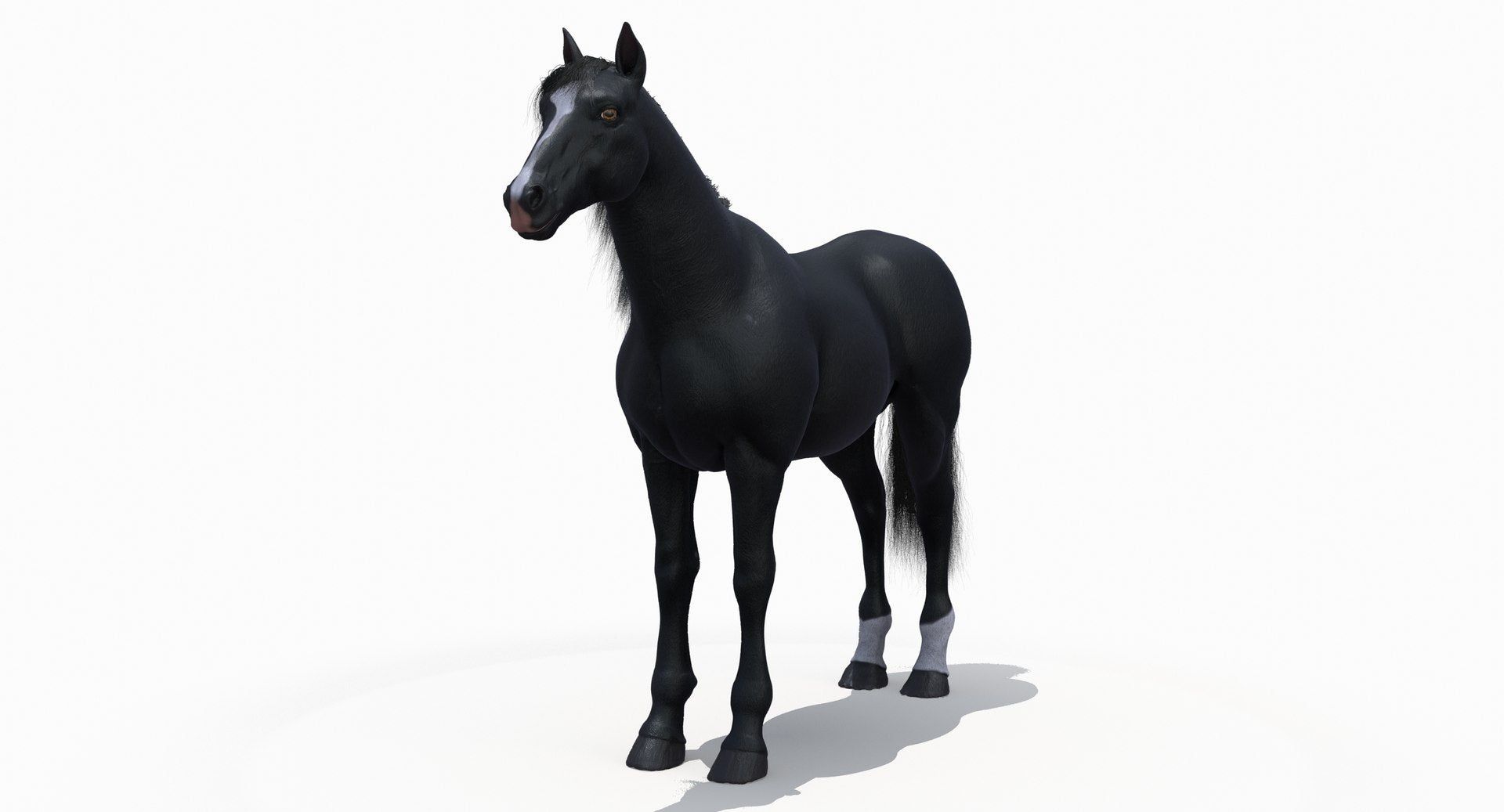 Black Horse 3D Model Fur