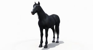 Black Horse 3D Model Fur Thumbnail