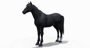 Black Horse 3D Model Fur Thumbnail