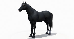 Black Horse 3D Model Fur Thumbnail