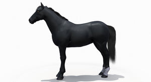 Black Horse 3D Model Fur Thumbnail