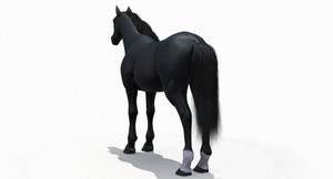 Black Horse 3D Model Fur Thumbnail